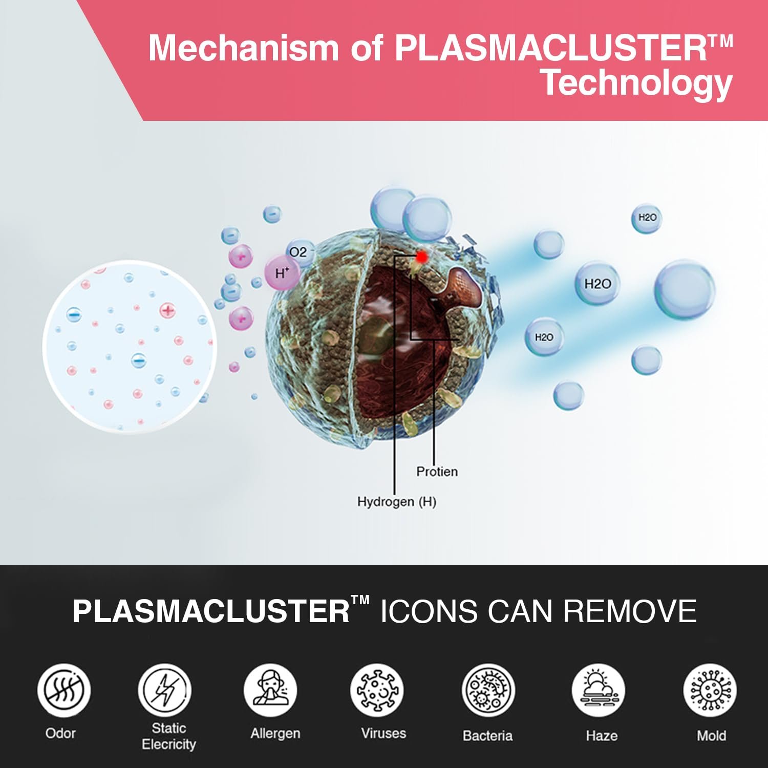 SHARP Air Purifier with Plasmacluster Tech for Home & Office (FP-J30M-W) - Image 3